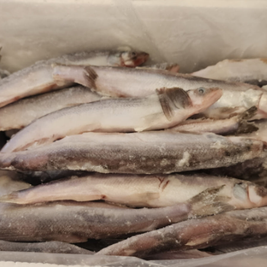 Korushka Fresh and Frozen