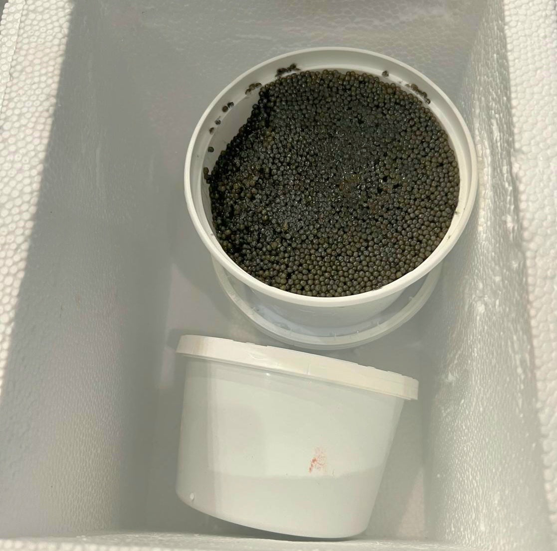 Paddlefish Black Caviar 8 oz