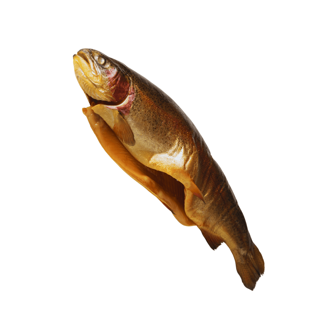 Traditional European Cold Smoked Trout