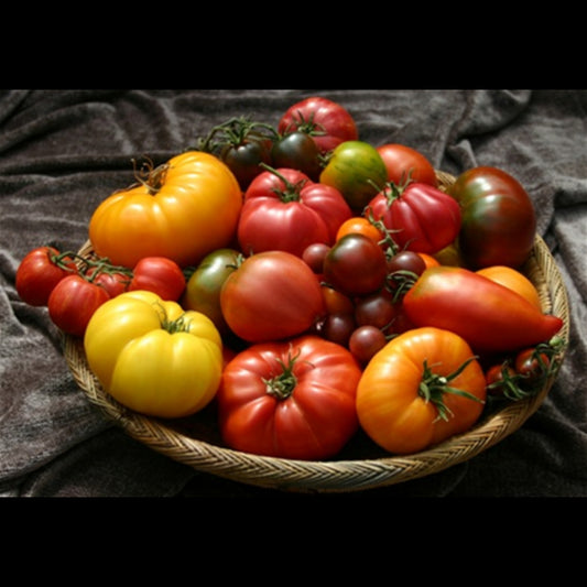 Tomatoes Heirloom Lb
