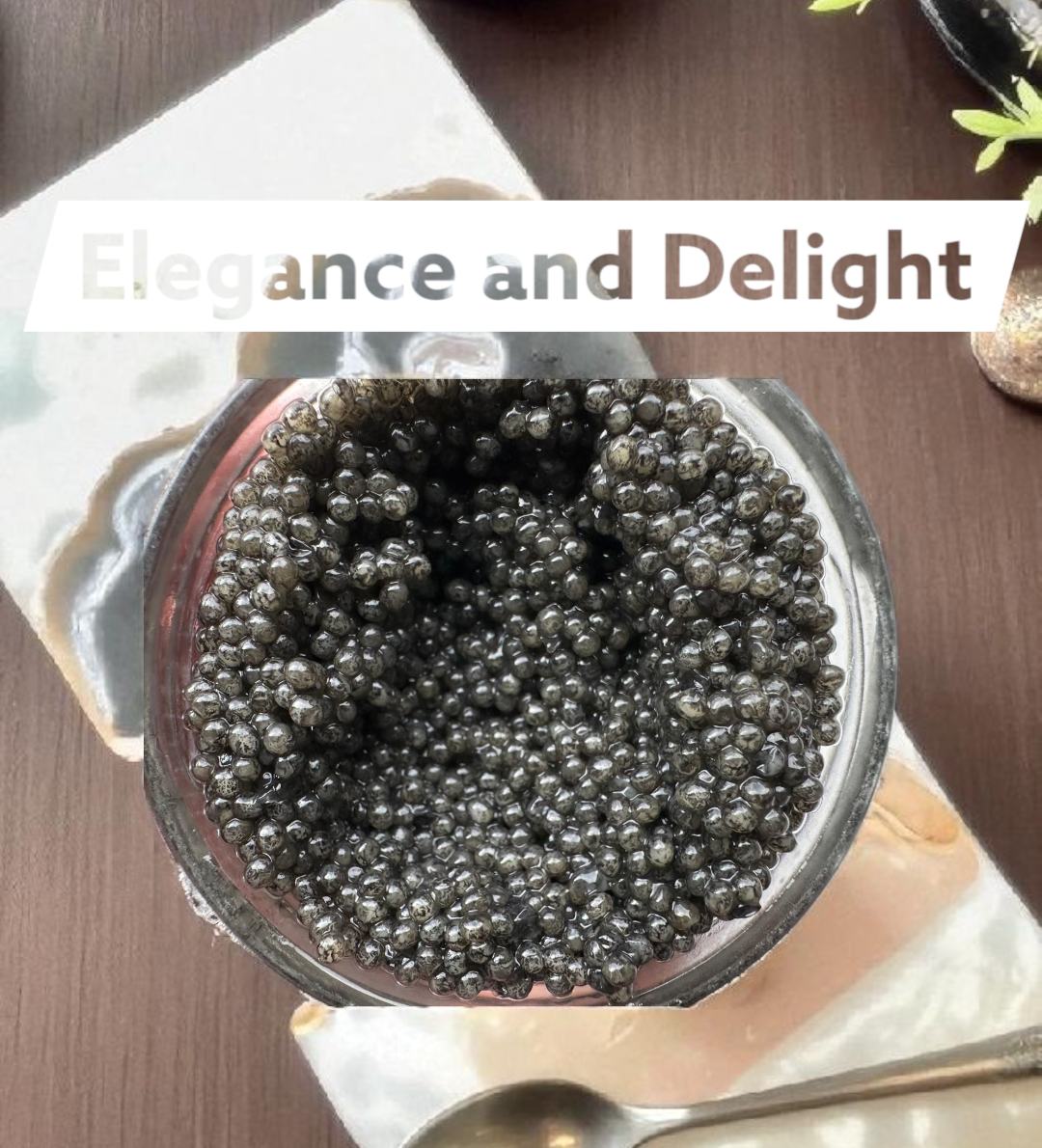 Paddlefish Black Caviar 8 oz